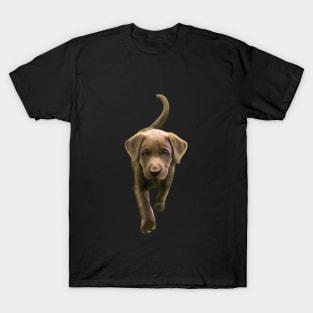 Brown Puppy on the Move! T-Shirt